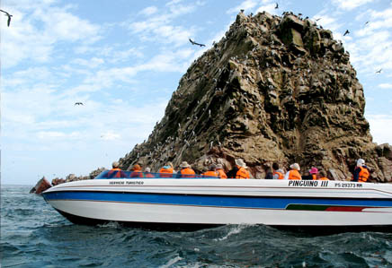 The Ballestas Islands boat tour