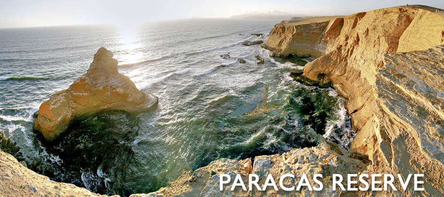 The Paracas National Reserve