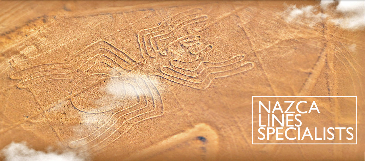 Nazca Lines the Humingbird