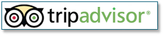 Trip advisor icon