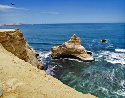Paracas tour