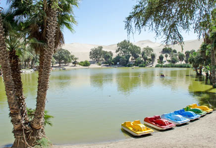 A Dune buggy and sandboarding tour