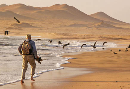 The Paracas National Reserve