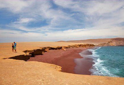 The Paracas National Reserve