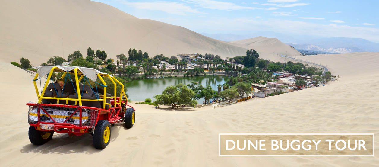 A Dune buggy and sandboarding tour