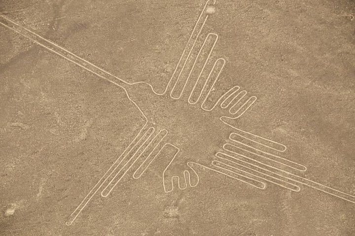 Nazca Hummingbird geoglyph seen from above
