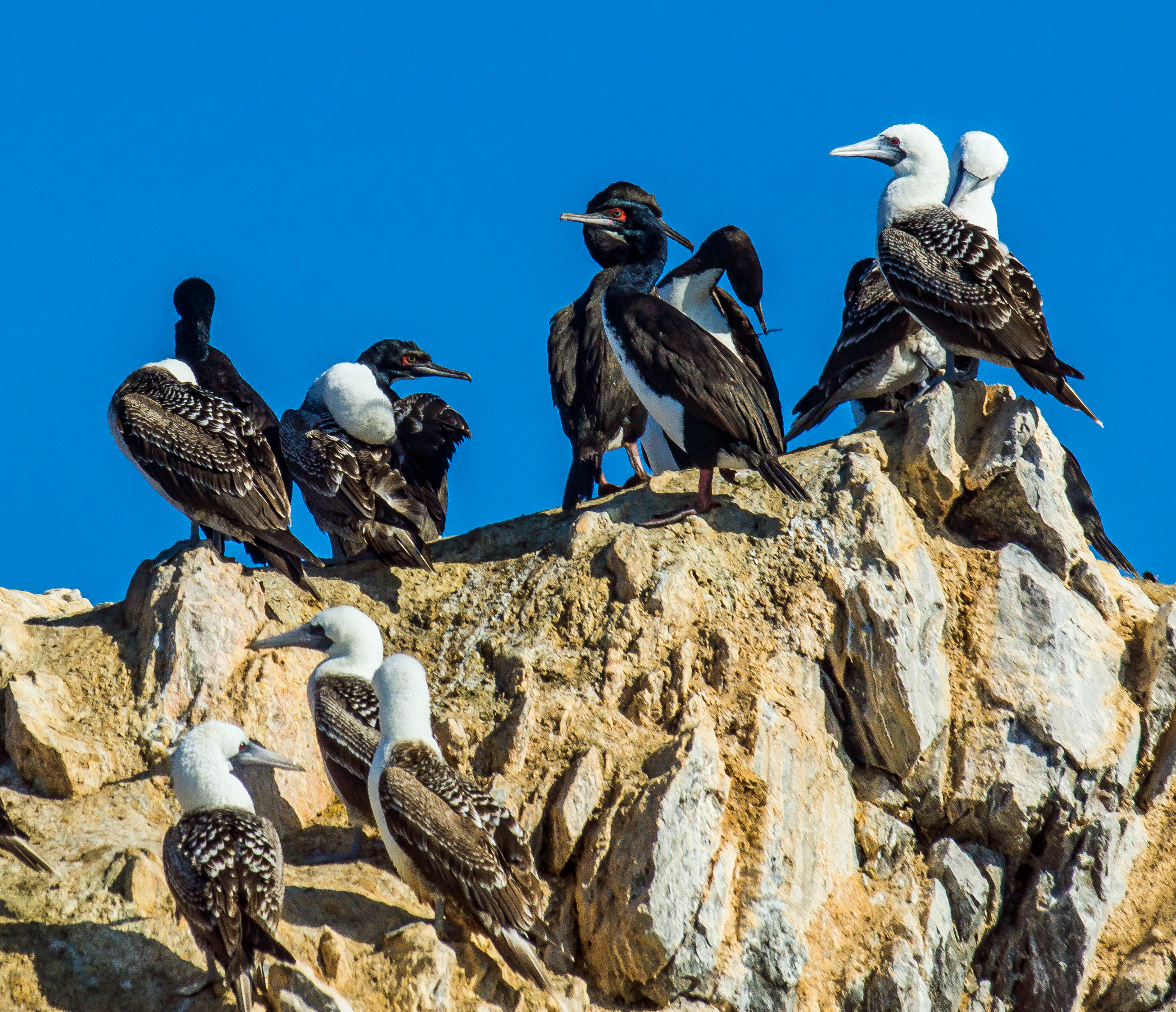 Paracas coastal scenery on Peru's mysterious coast