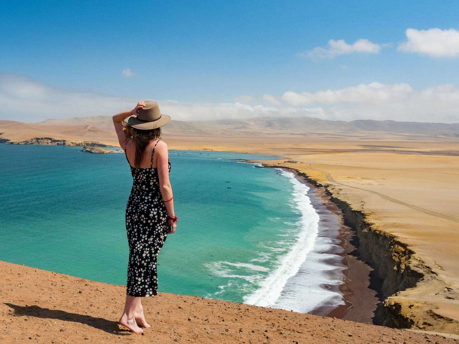 Paracas National Reserve coastline and desert peninsula