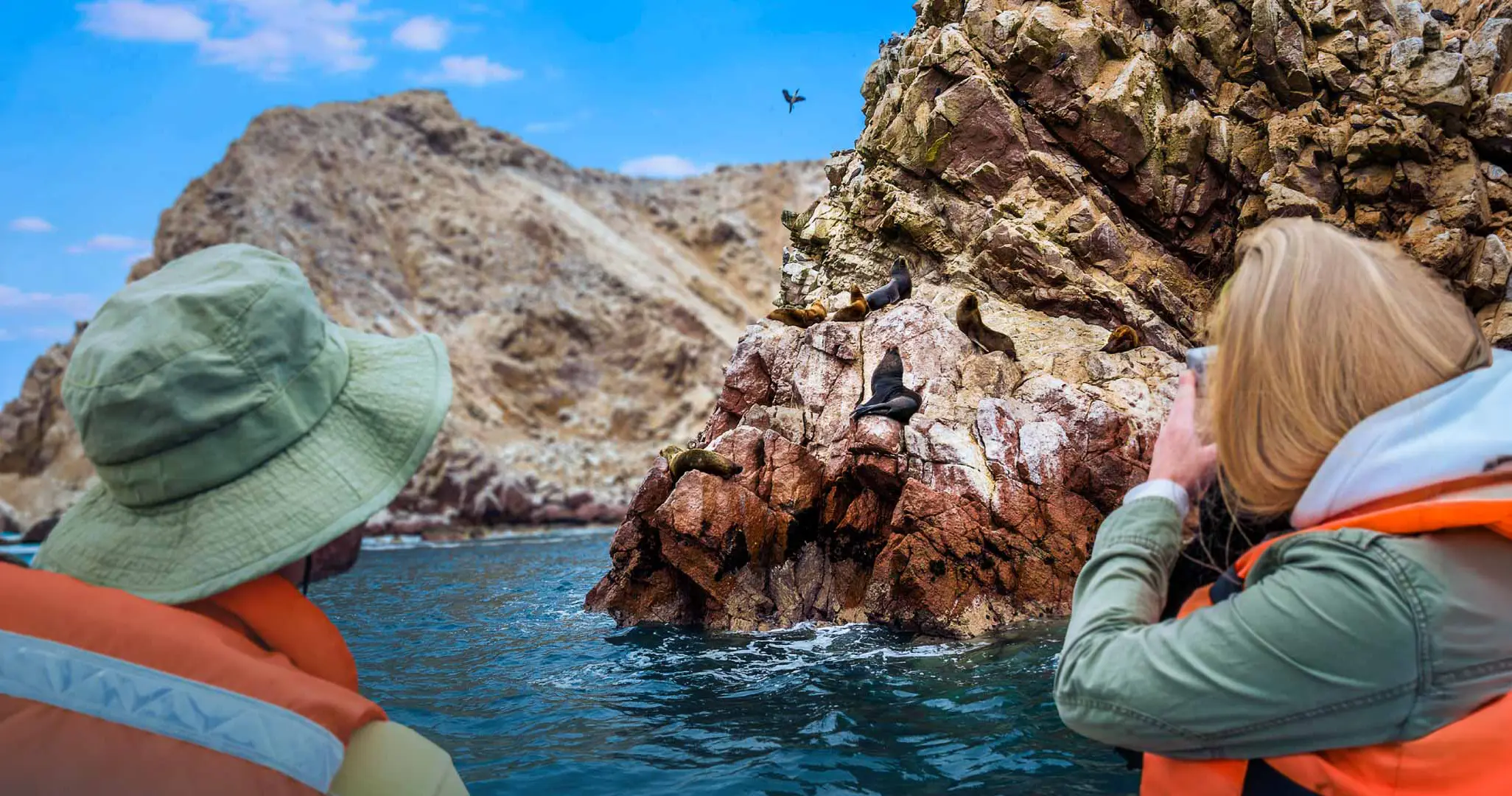 Tourists viewing sea lions near the Ballestas Islands